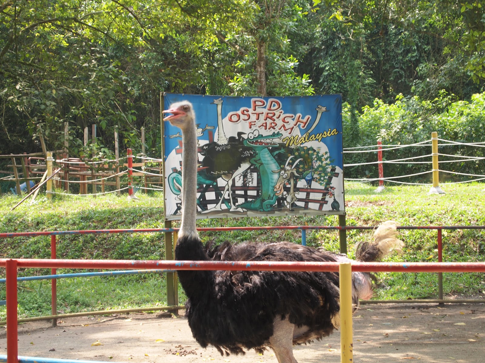 OstrichFarm